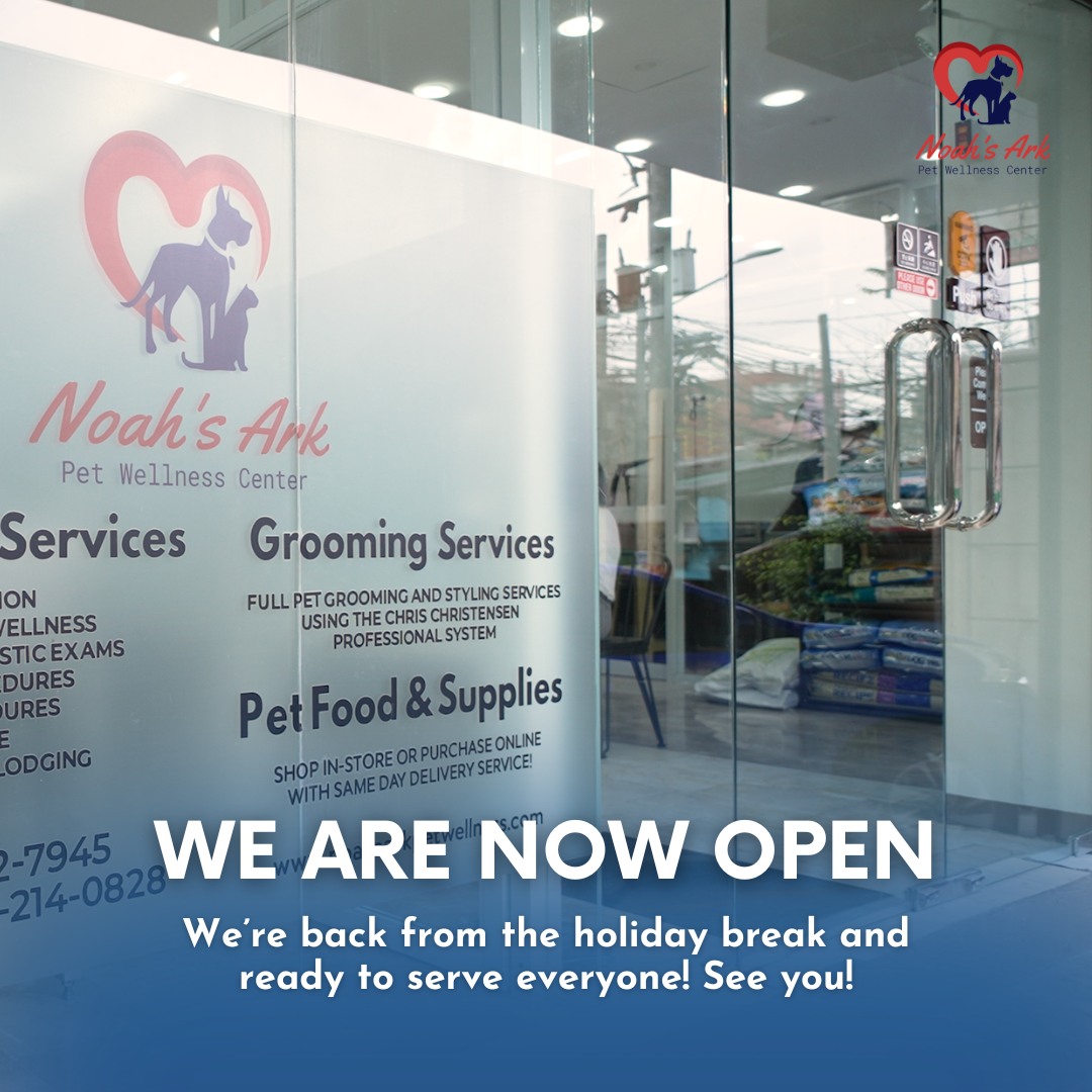 Noah's - At Noah's Ark Pet Wellness Center, we offer affordable surgery ...