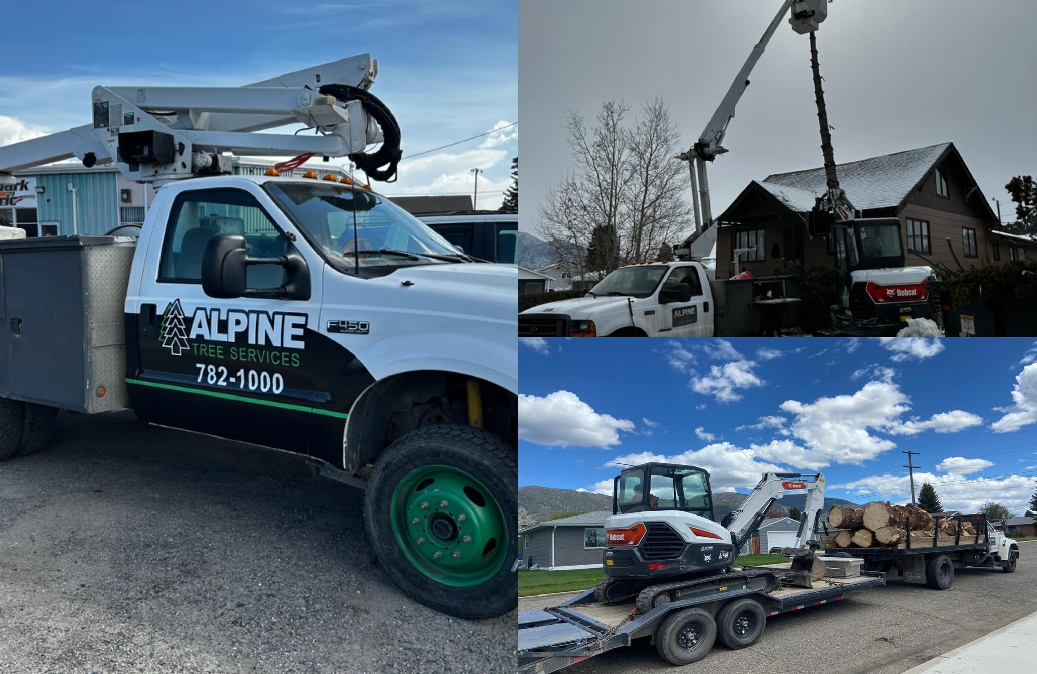 Alpine Tree Services | Butte MT