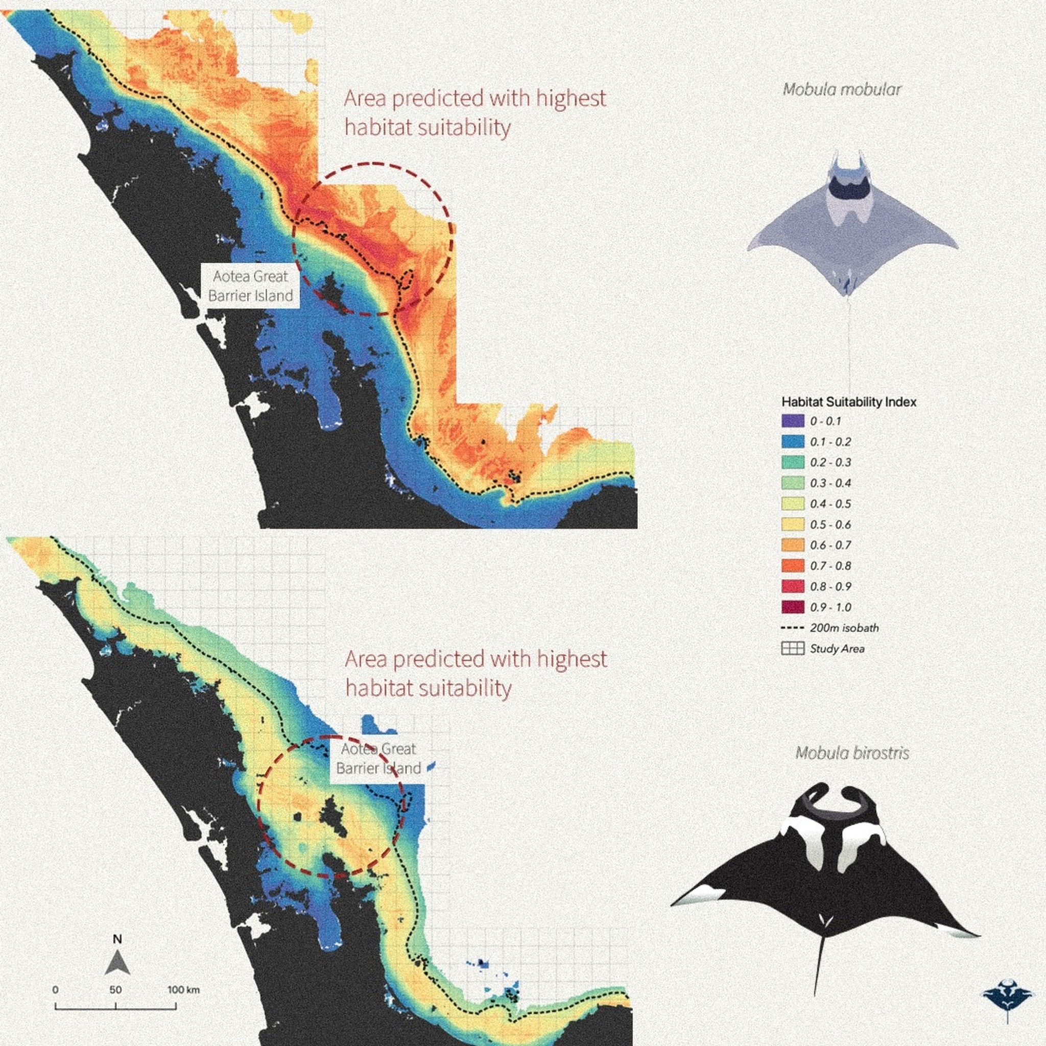 Manta - 📢 NEW SCIENCE ALERT! 📊 This study By Ozaki et al. (2024 ...
