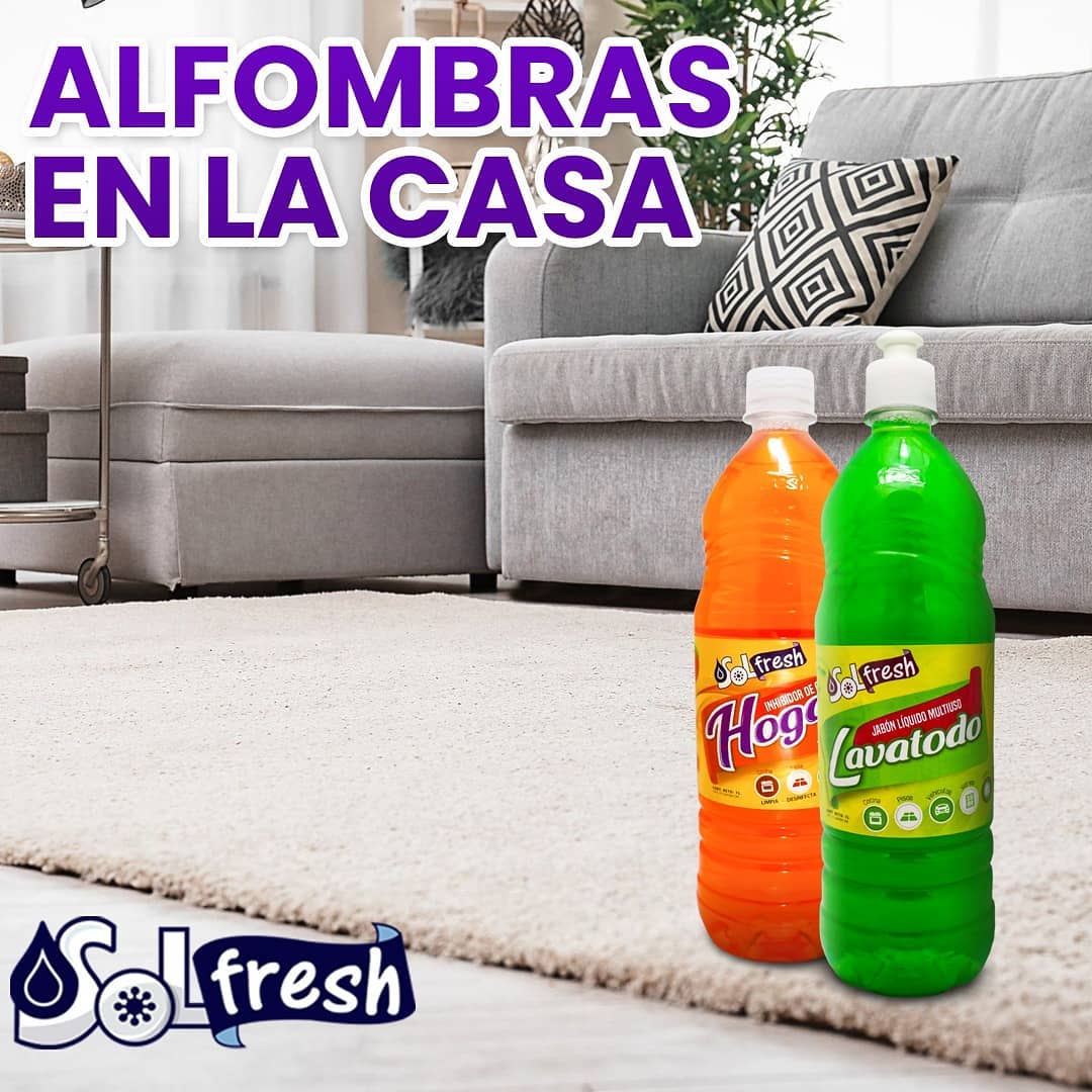 Solfresh - Dan un buen toque de decoración, pero son un imán para los ...