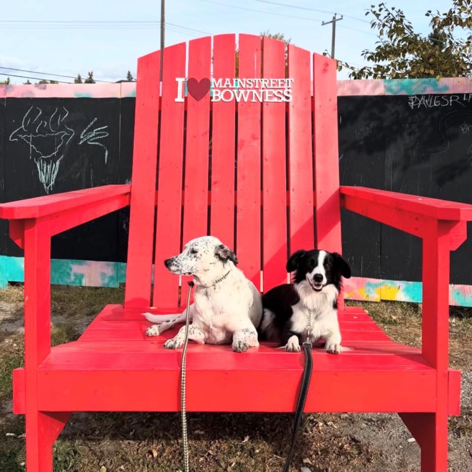 Our Neighbour Day Block Party was packed with fun, community, and so ...