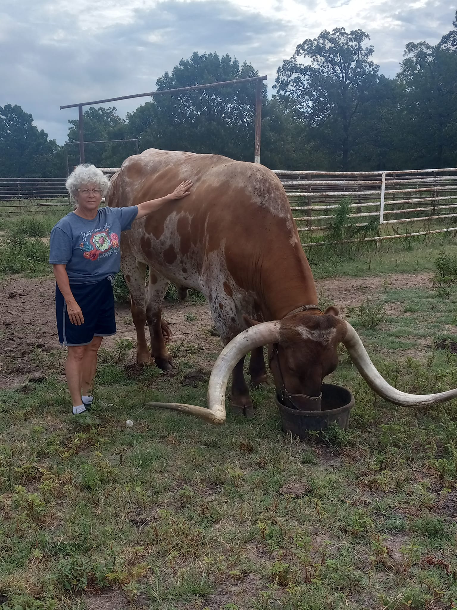 Cattle Call Ranch