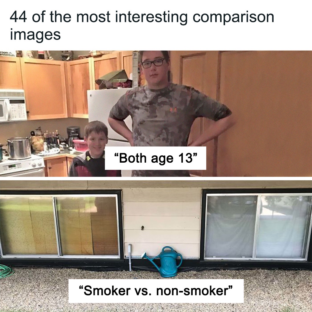 The Humor - 44 of the most interesting comparison images (link in the ...