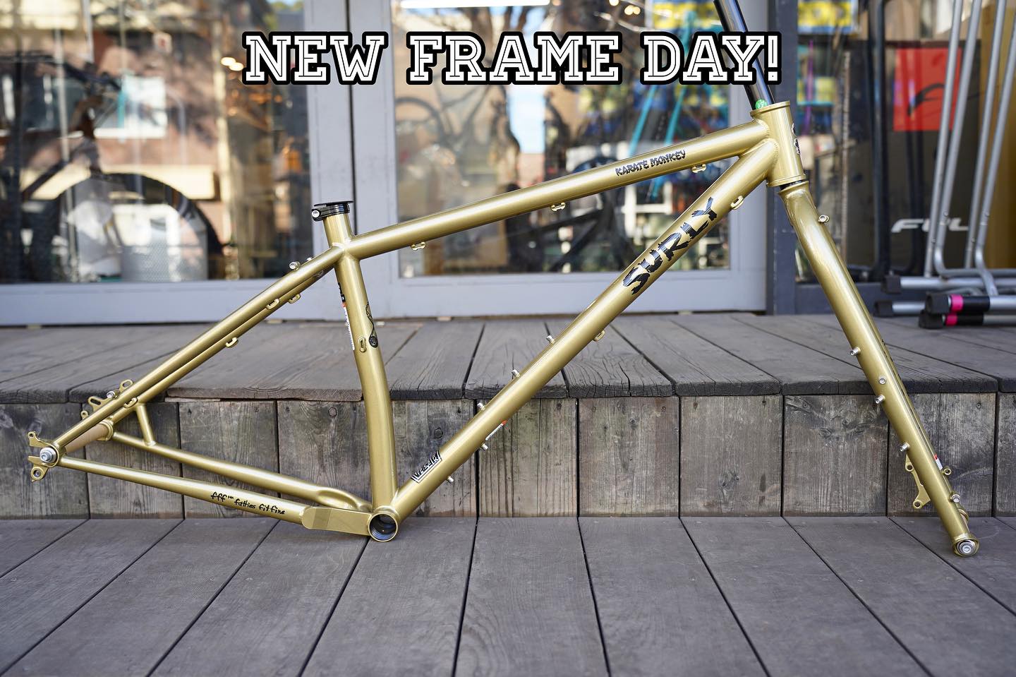 ?NEW FRAME DAY!? 2024 SURLY KARATE MONKEY / Fool