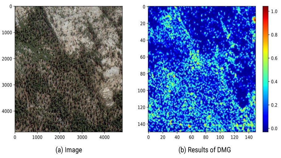 Remote - 🌳🌲 Transformer for #Tree #Counting in Aerial #Images ️ Guang ...