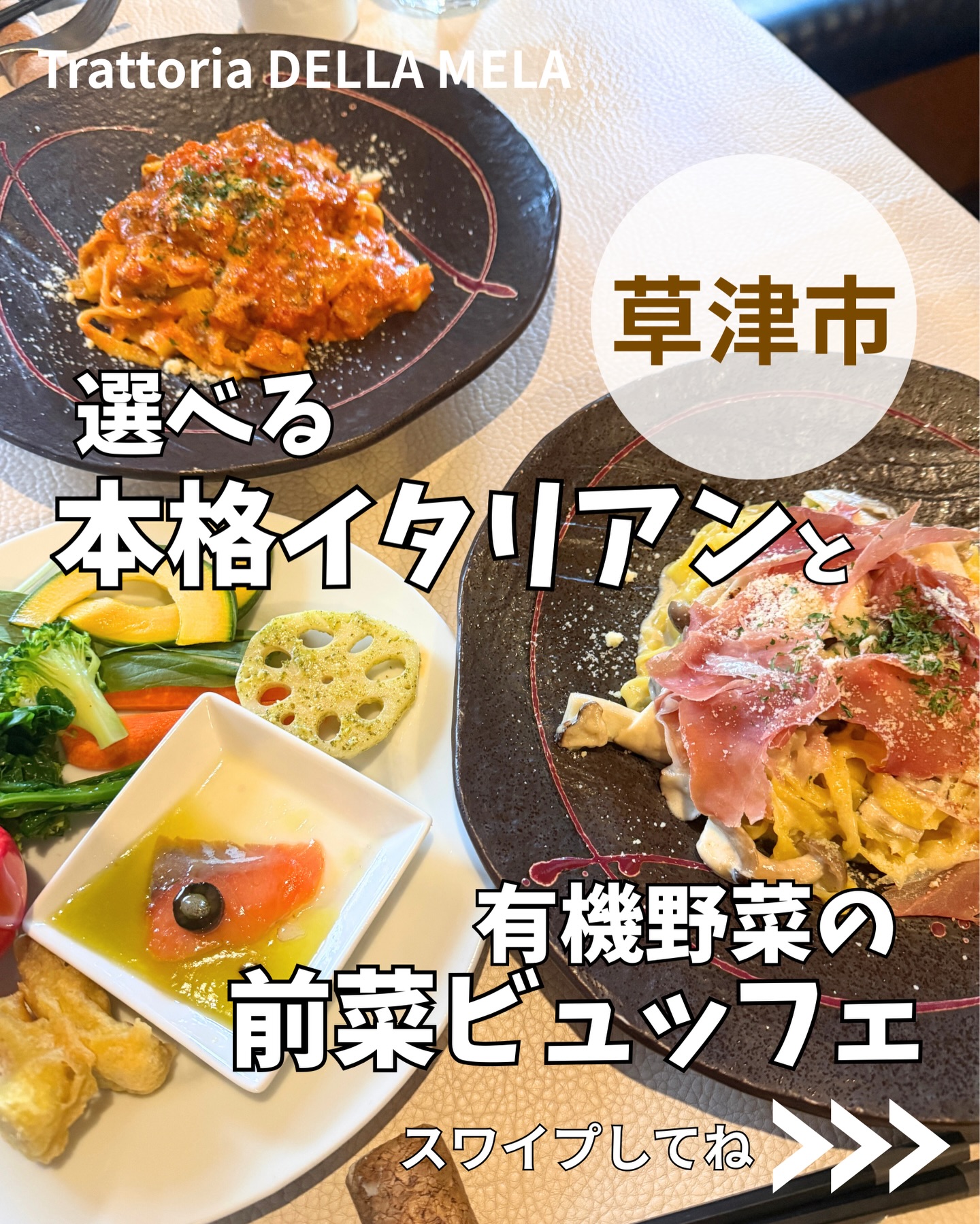 活動歴および当時の関連ビジュアル記録