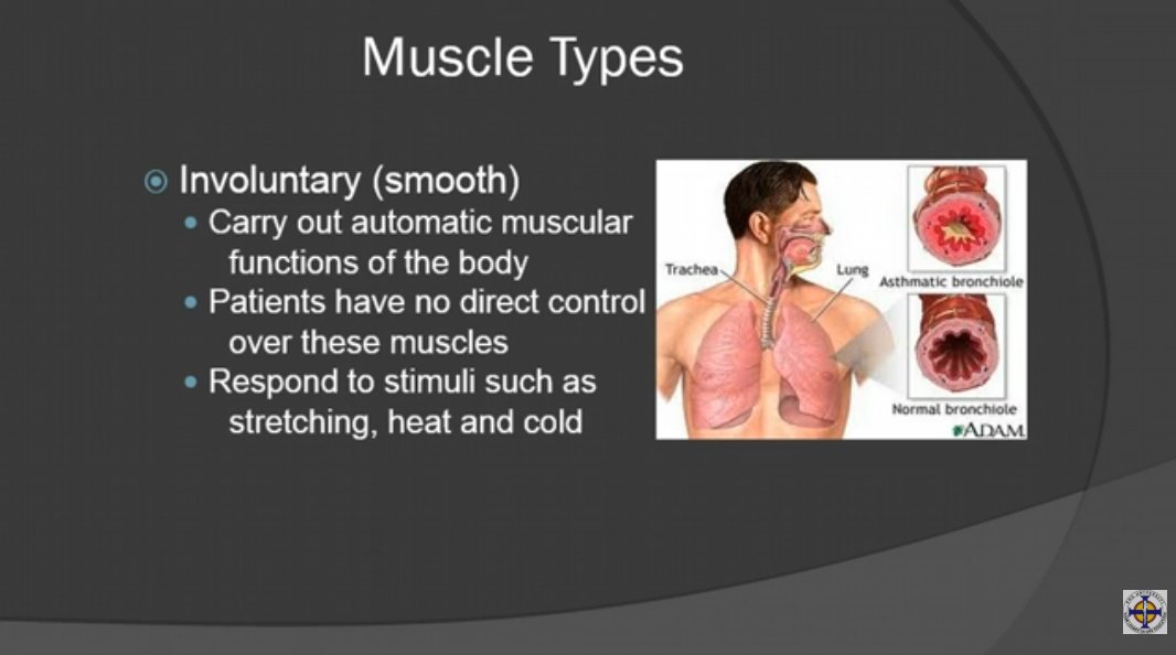 EMSU - The Human Body for the EMT Lecture. Under... | Facebook
