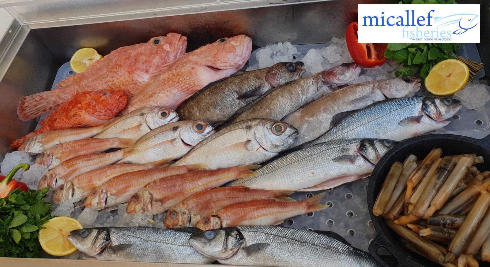 Micallef Fisheries Ltd | Mosta