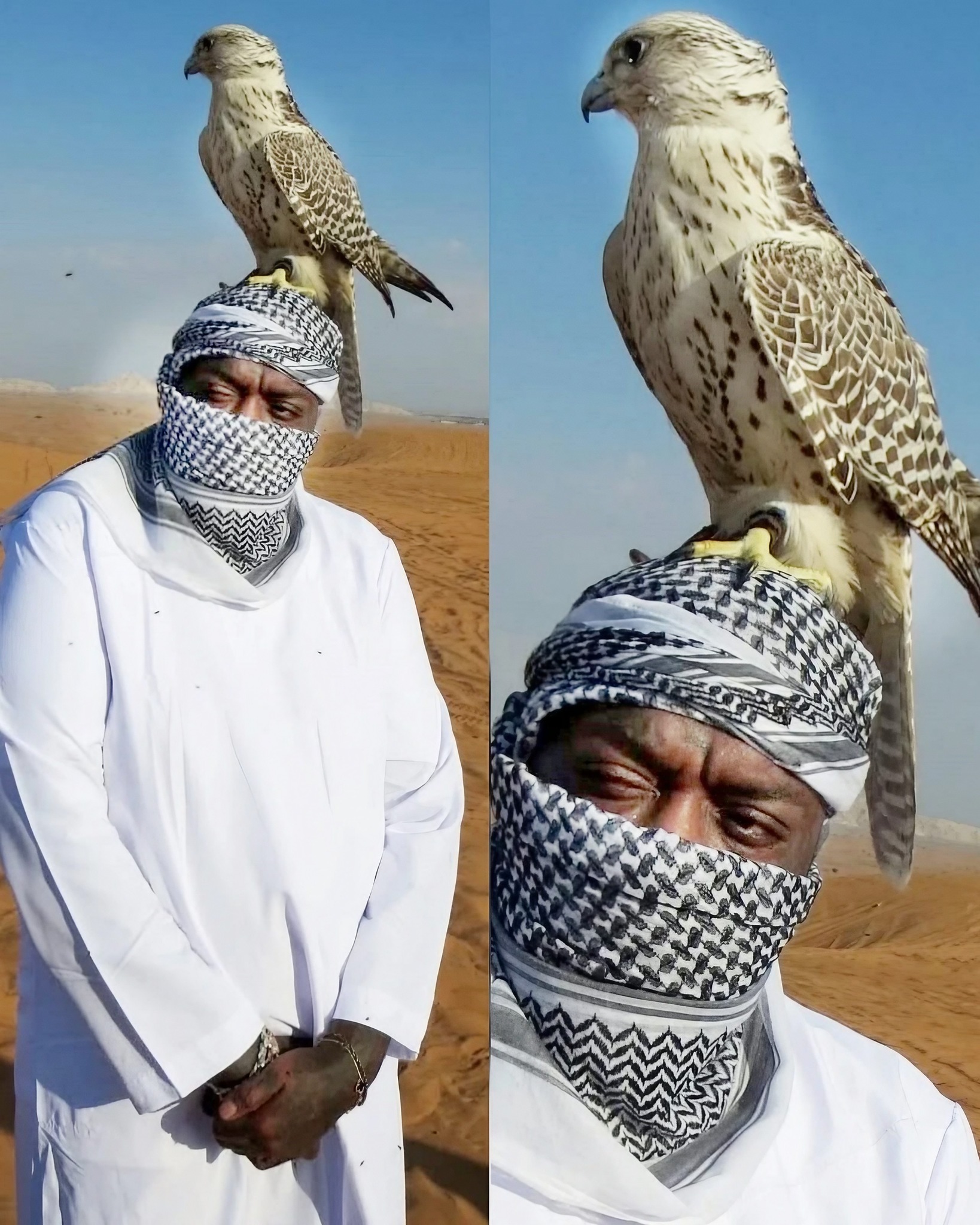 Hip - Rick Ross poses with a falcon today! 🦅 | Facebook