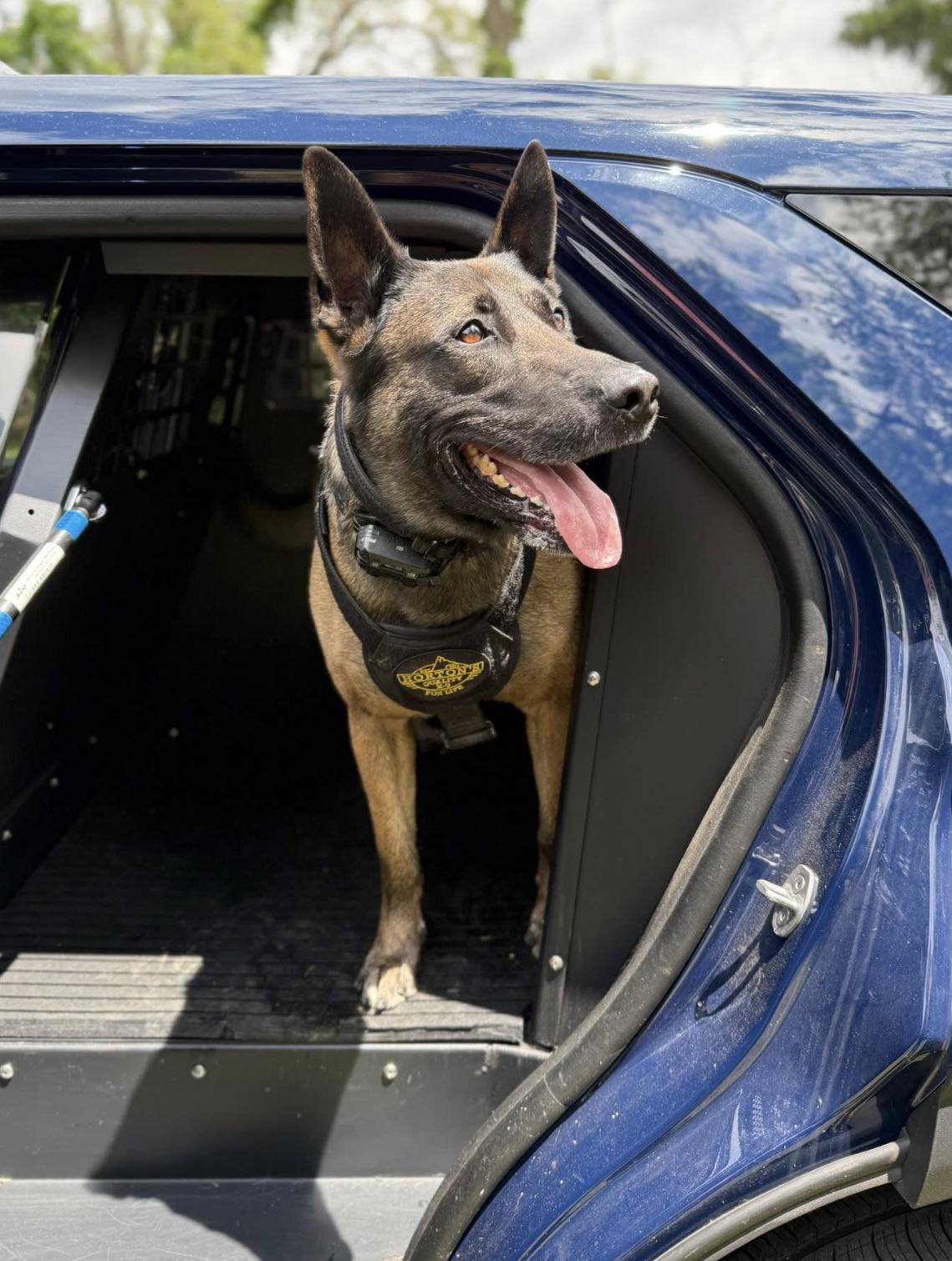 Let's all wish K-9 Thor of the Kettering Police Department, Ohio a