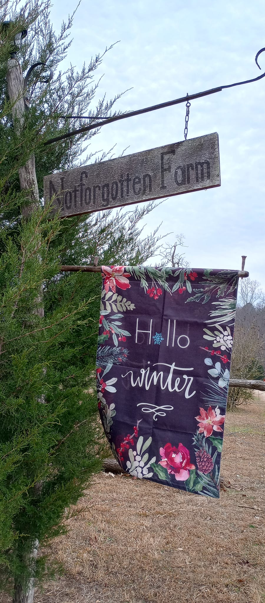 Privies & Prims - Here's some pictures from Lori's shop....