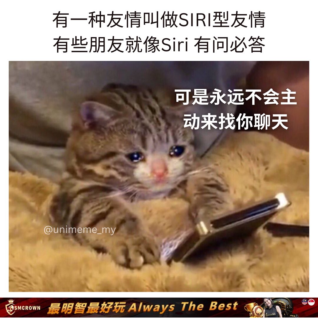 你不主动找他 他一辈子都不会来找你🤨 . IG: unimeme_my... - 讲鸟话迷迷 Bird Talk Meme | Facebook