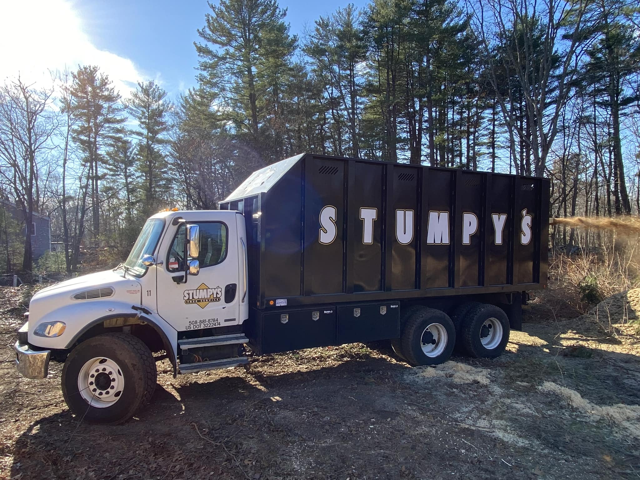 Stumpy's Tree Service | Ashland MA