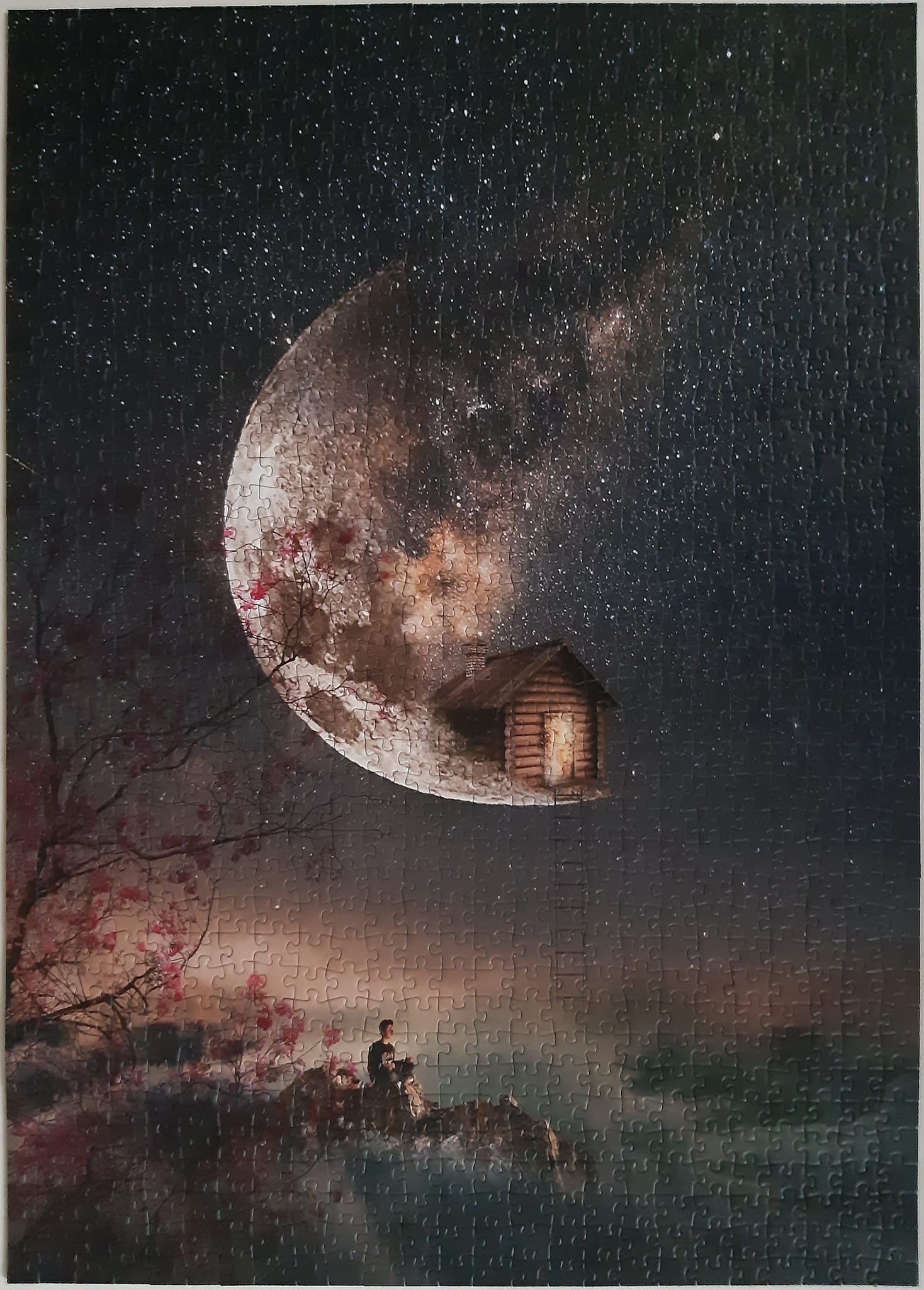 Natacha Einat Schmidt's 1000-piece jigsaw puzzles