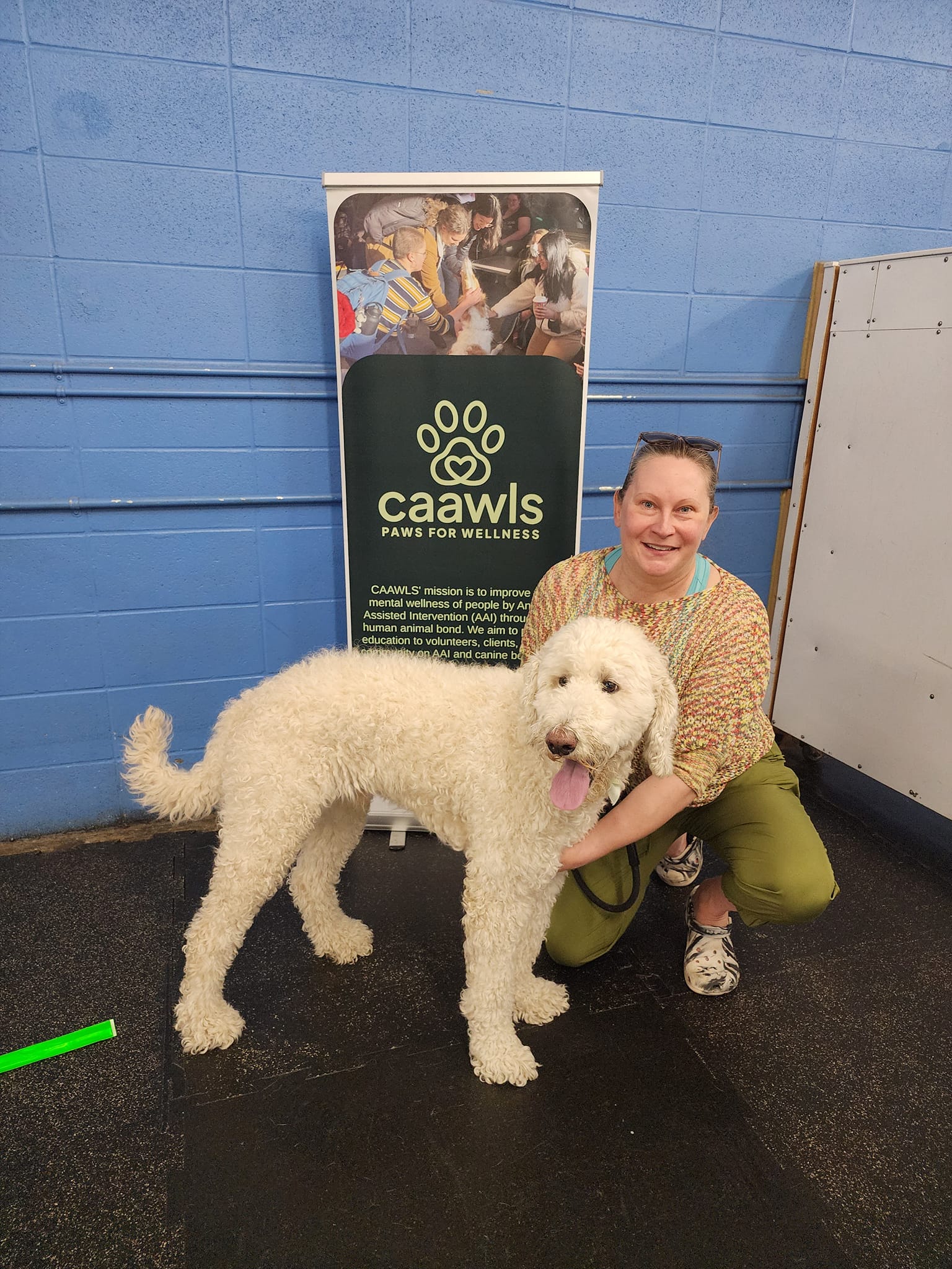 Chimo Animal Assisted Wellness and Learning Society - CAAWLS | Edmonton AB