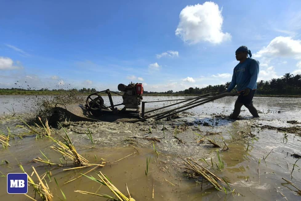 MANILA - LOOK: A farmer prepares his field for rice planting in ...
