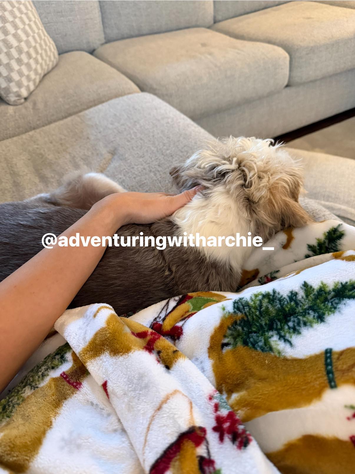 Adventuring With Archie added a... - Adventuring With Archie