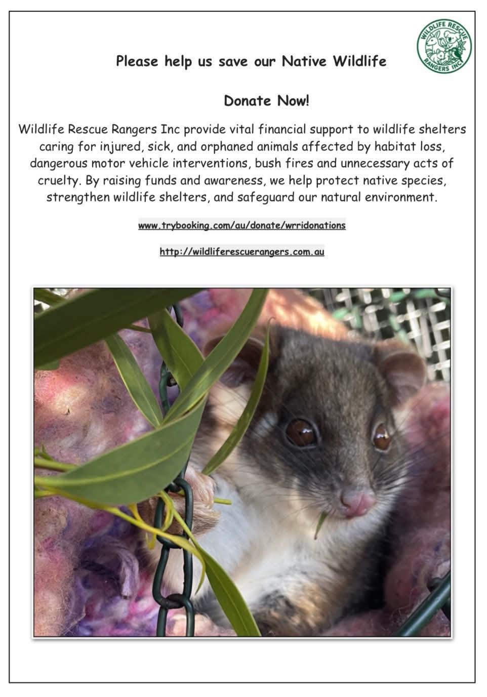 Wildlife Rescue Rangers INC