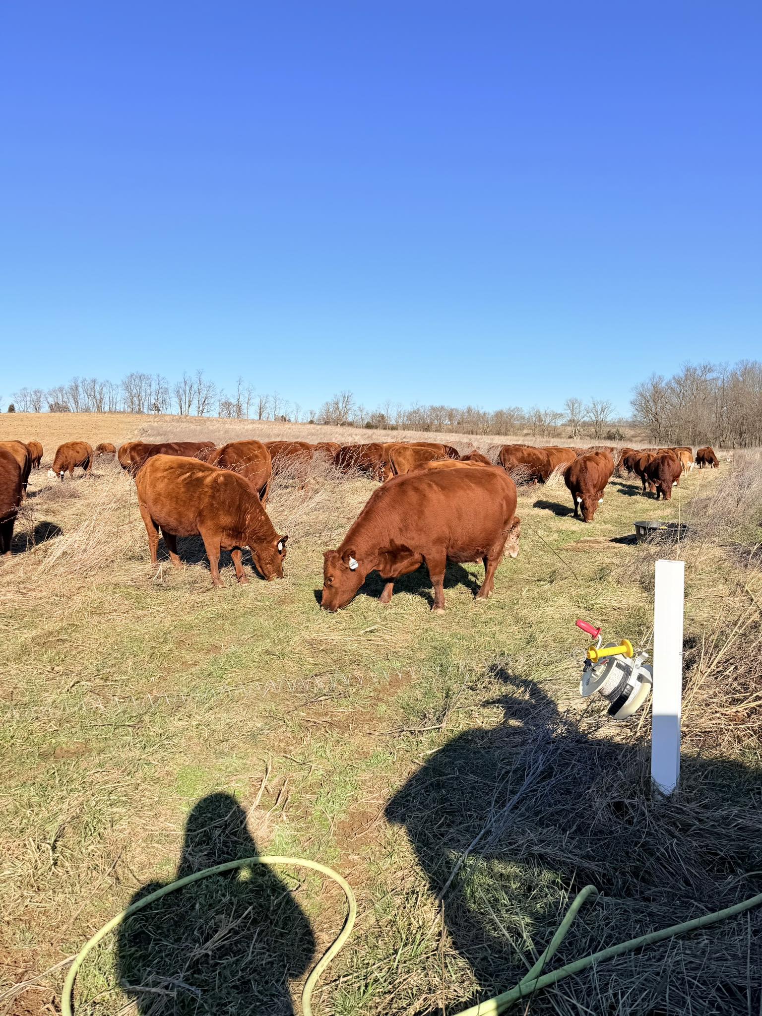 Unity Farms
