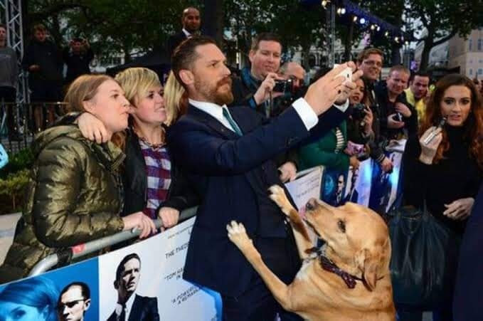 ALMA Chimbote - El actor, Tom Hardy llevó a su perro...