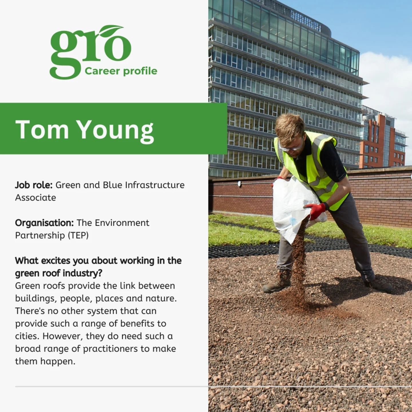 Green - 🌿 Career spotlight – Tom Young 🌿 Meet Tom, Green and Blue ...