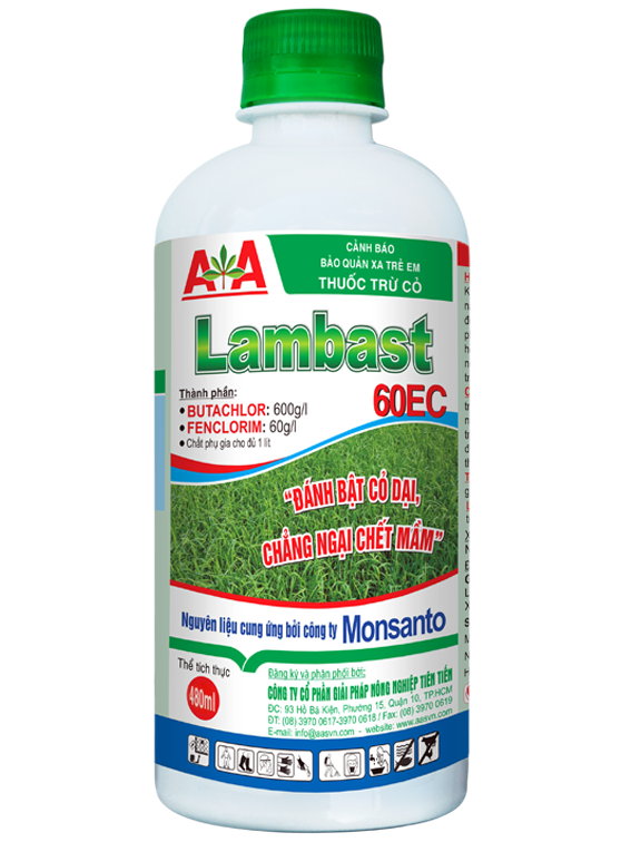 Lambast 60EC