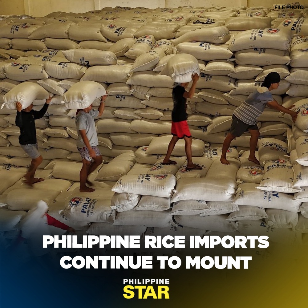 Philippine Star - The country’s rice imports expanded by... | Facebook
