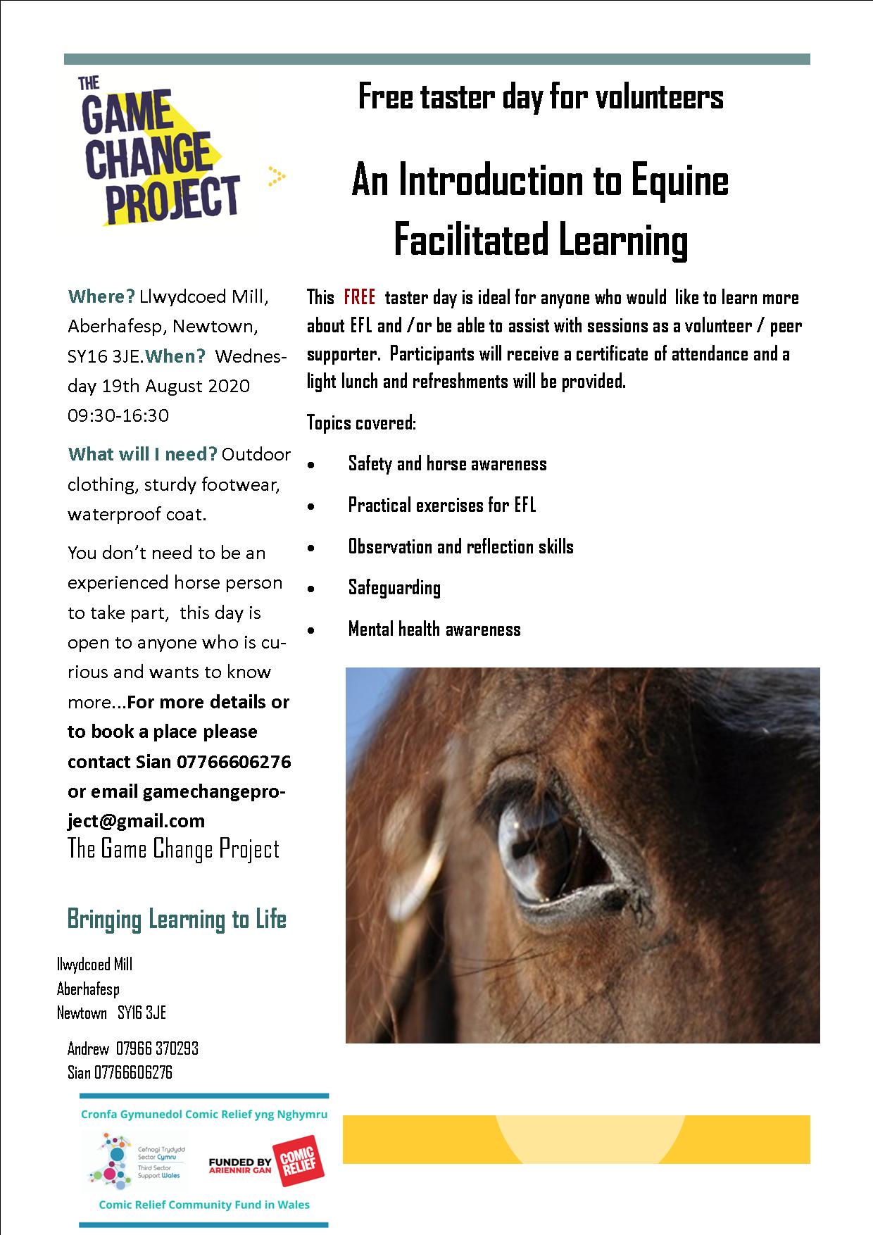 What... - The Game Change Project -not for profit organisation | Facebook