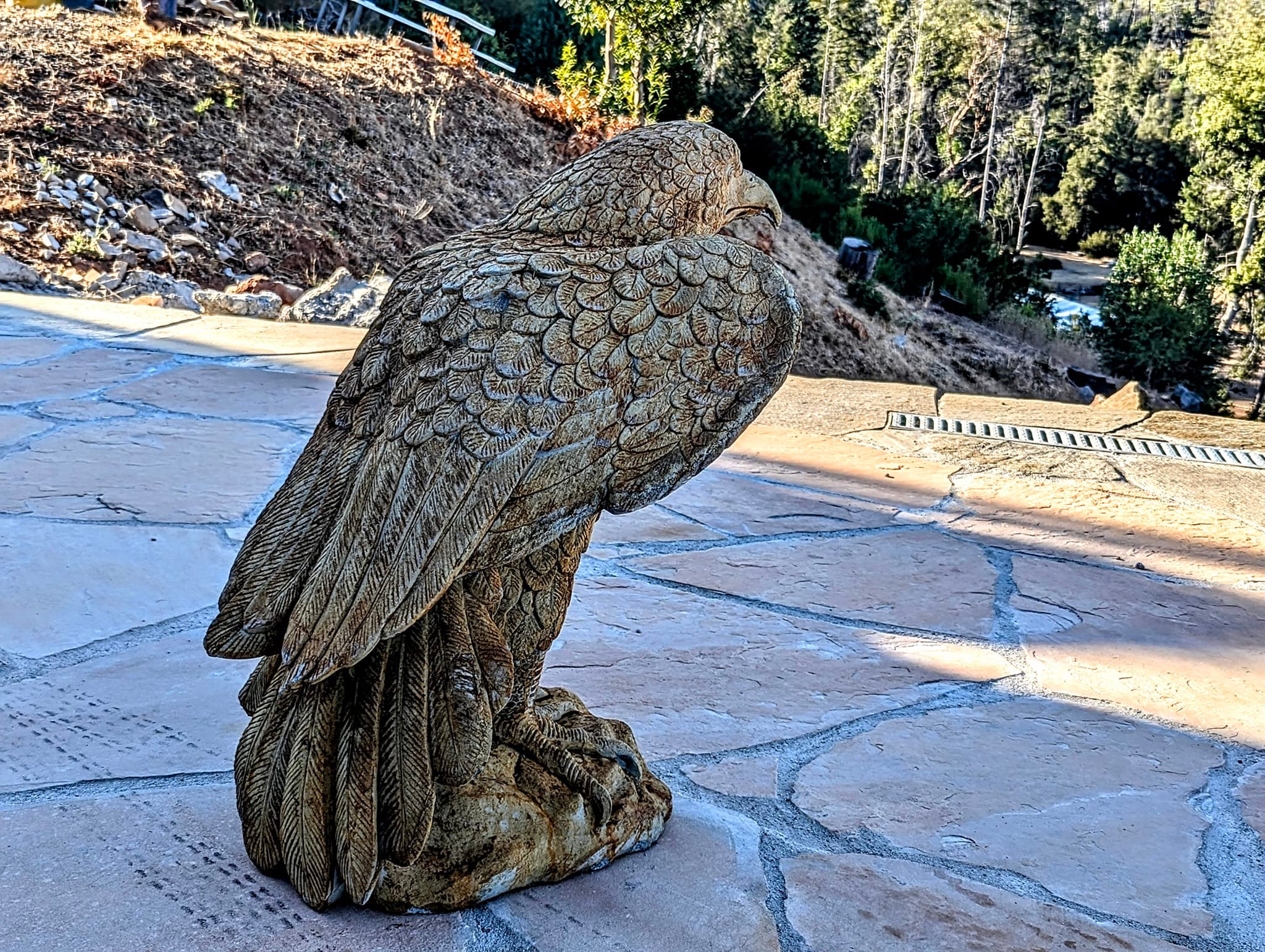 Moonburger Delight, Moon Dance Ranch | Redwood Valley CA