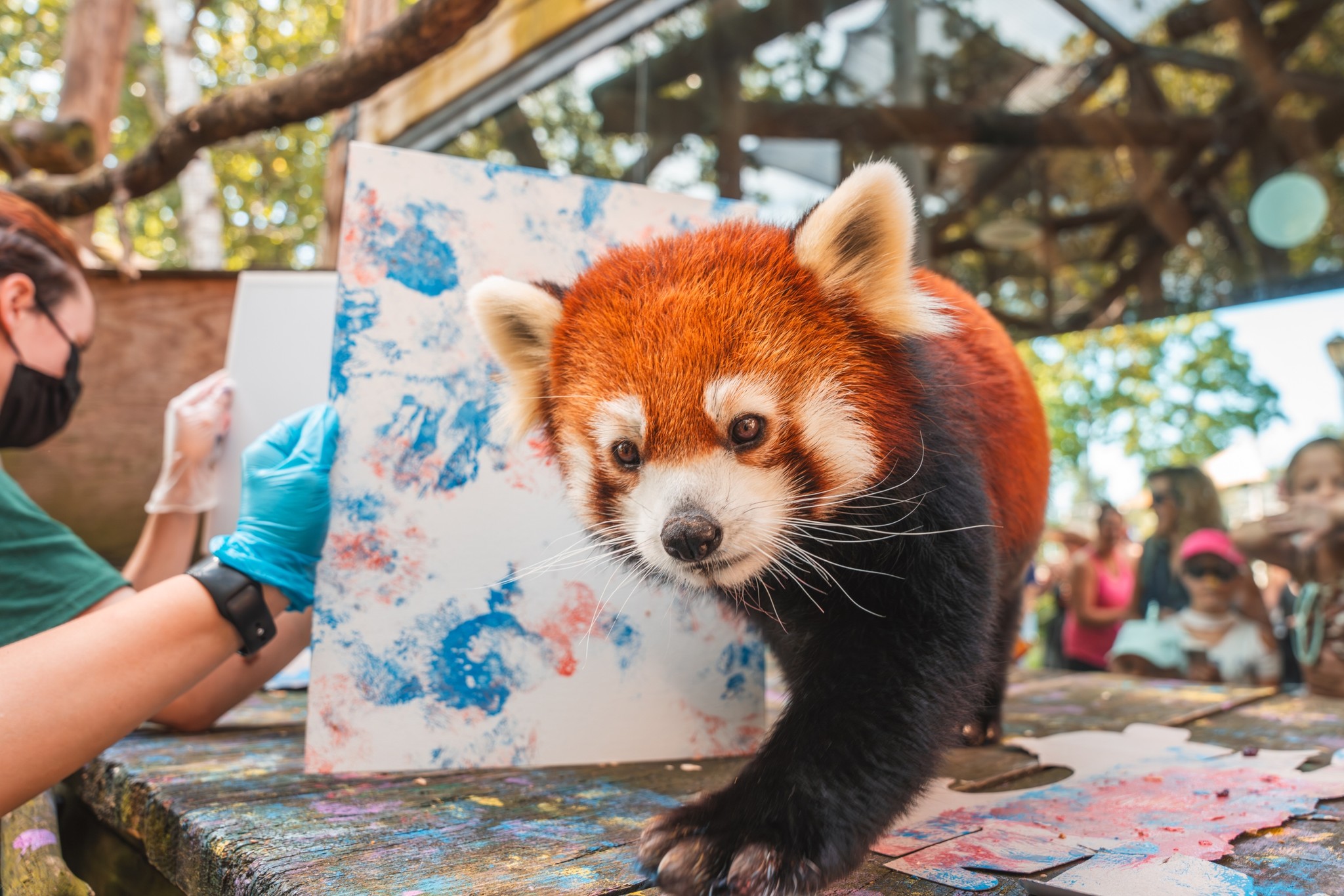 Enjoy artist and animal painting demos, musical entertainment and