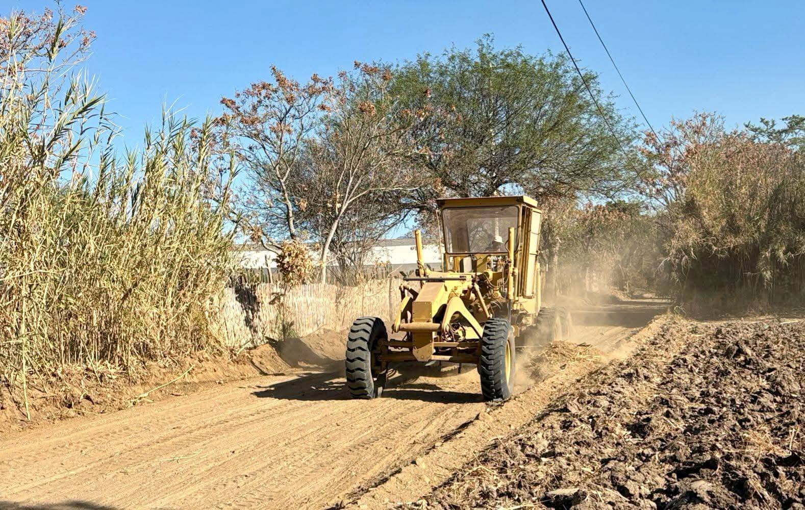 La Preferida de Ocotlan | Ocotlán de Morelos