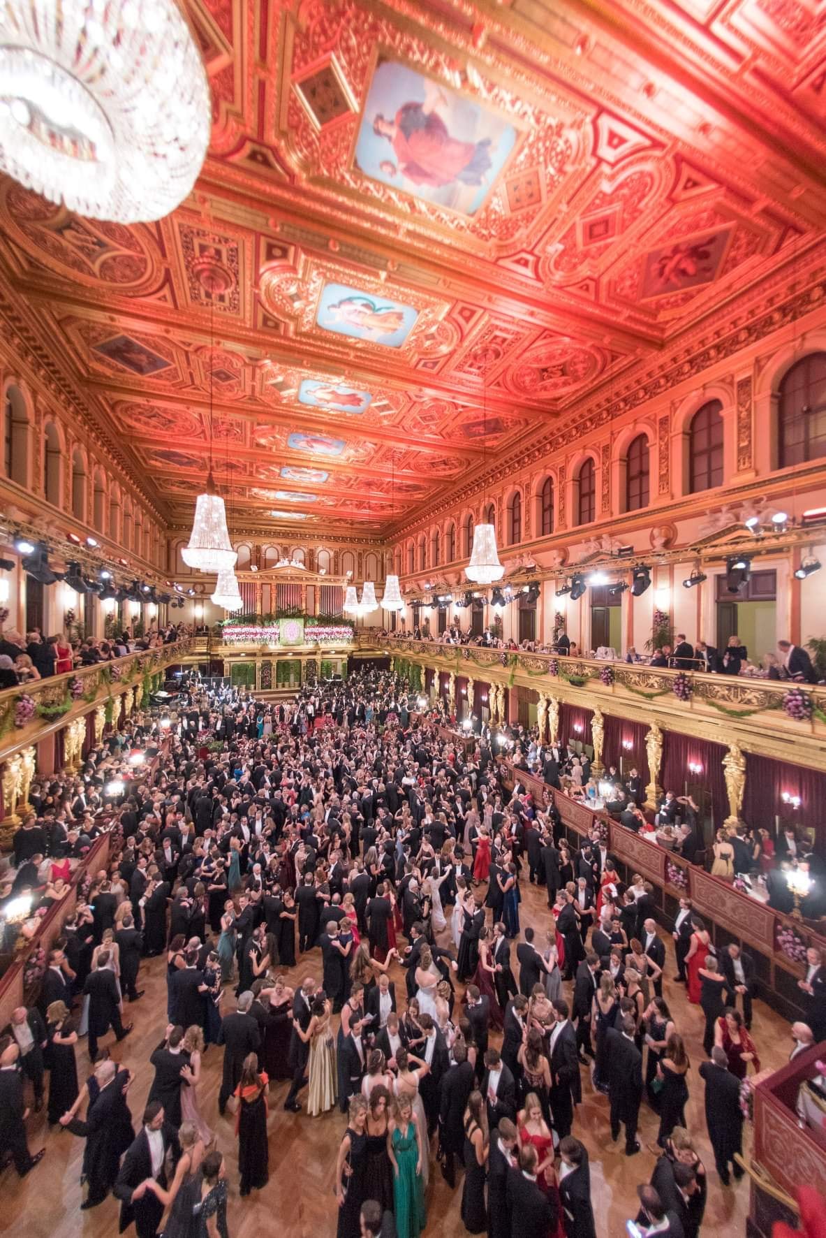 black and gold pakistani dress Attending a concert in Vienna's Golden Hall black and gold dress