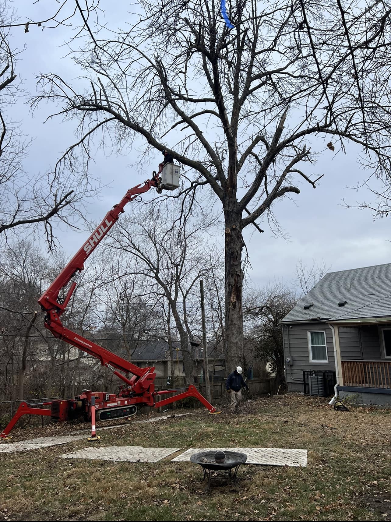 RC Tree Service | Kansas City MO