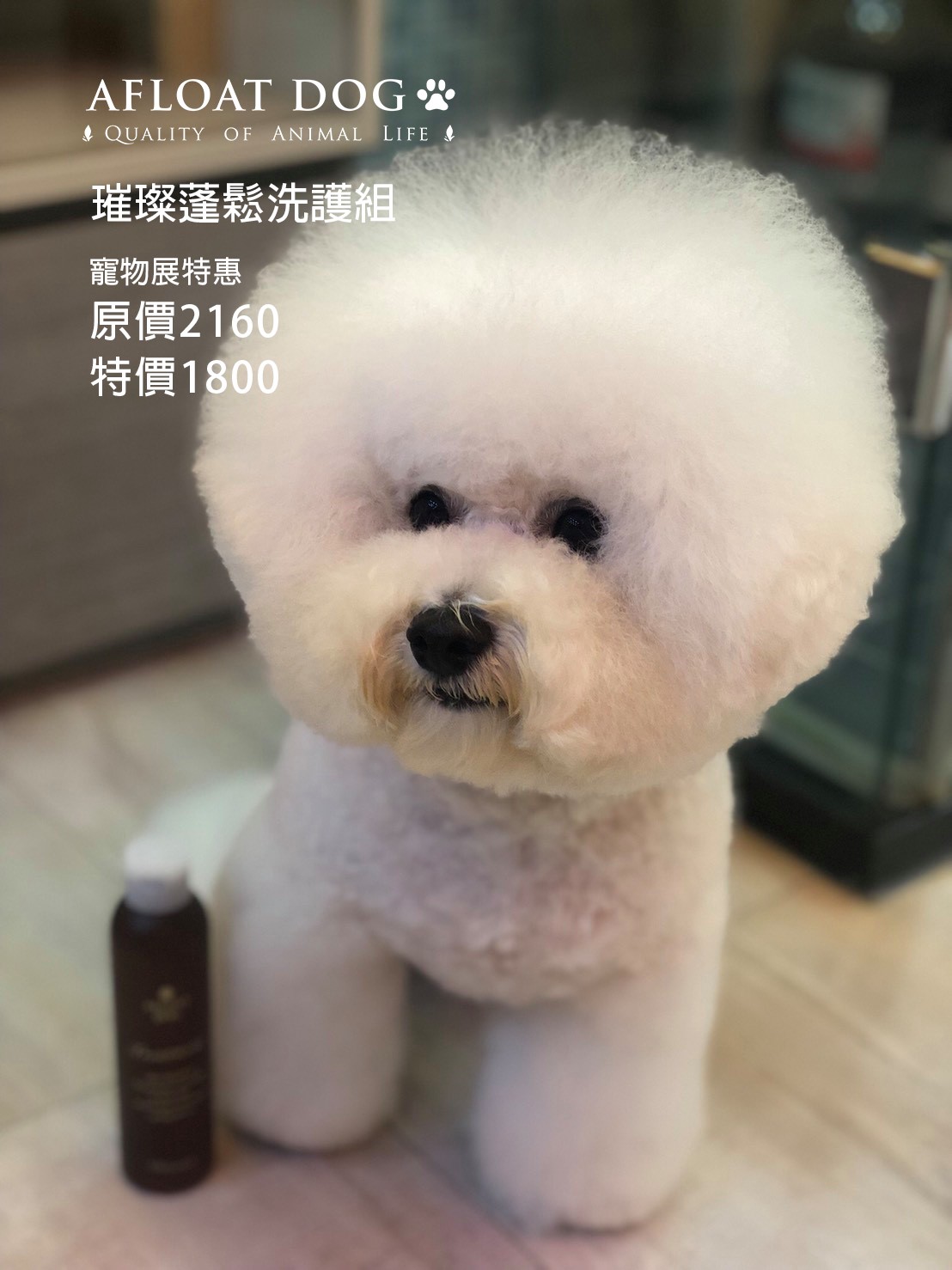 艾芙樂 afpet TW - 你希望毛孩使用 #日本藥廠研發、#成份不傷肌膚 的產品嗎？ 希望毛孩的... | Facebook