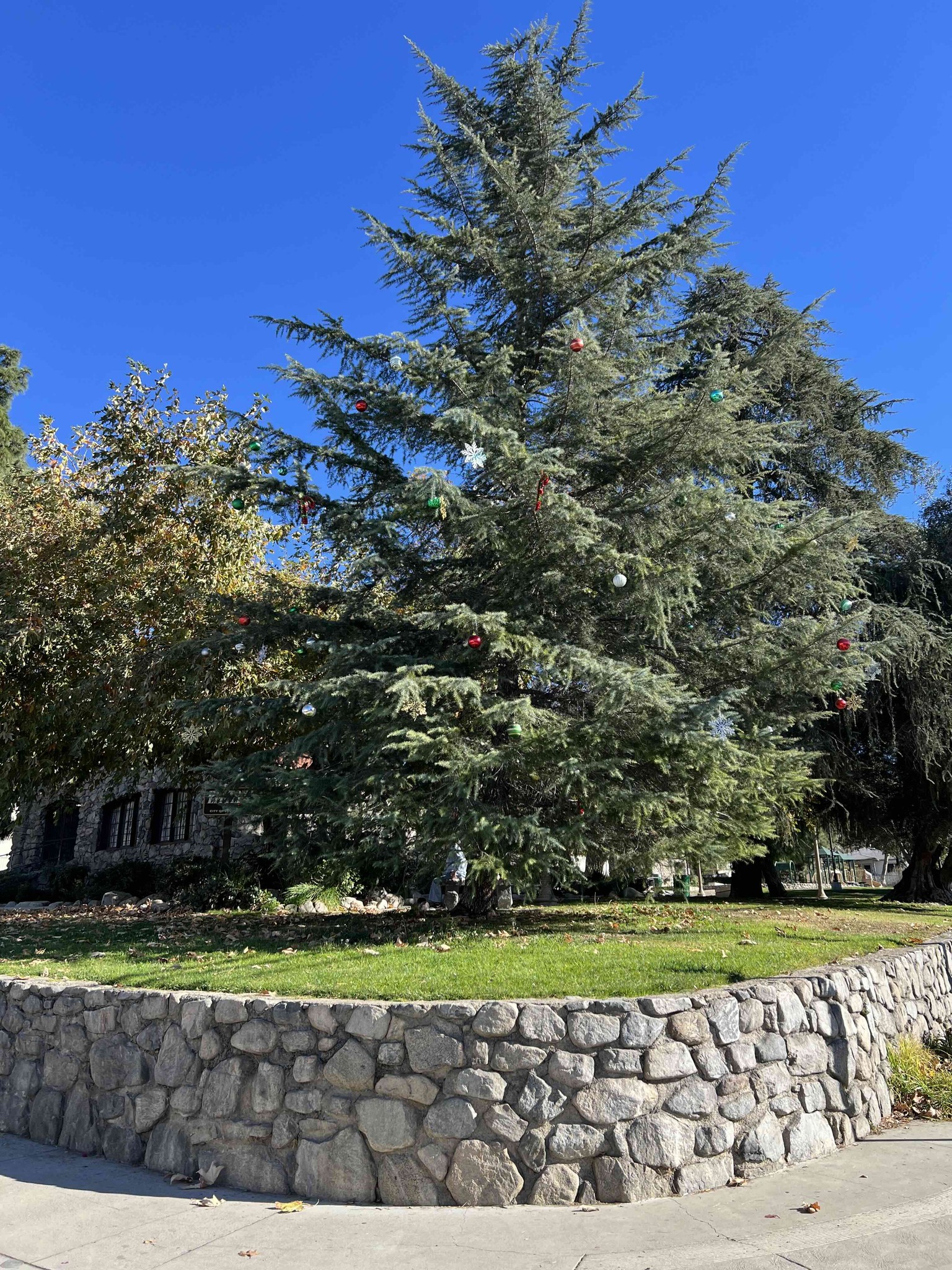 Sunland/Tujunga/Shadow Hills Rotary Club