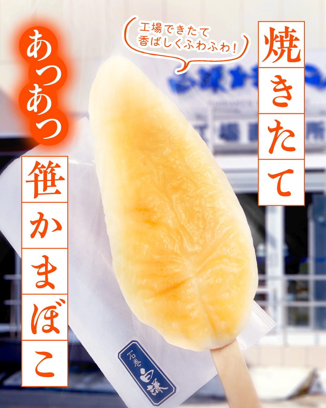 工場できたての笹かま限定販売開始✨ 2/11(水)から2/28(土)まで！ 門脇