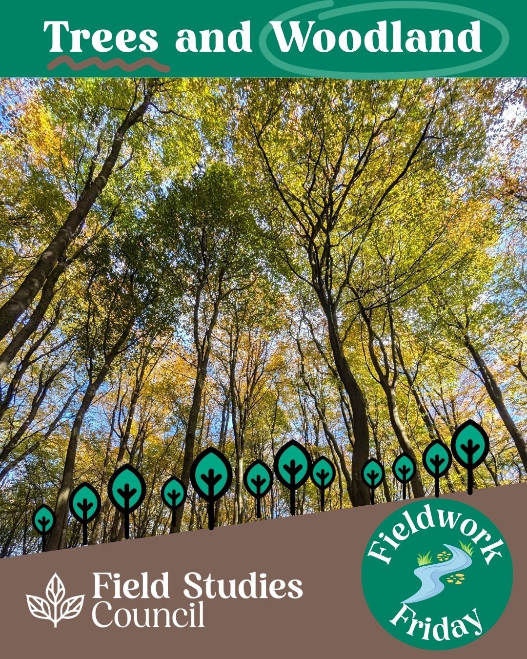 The Field - 🍃 We’re sharing our love of fieldwork each week with a ...