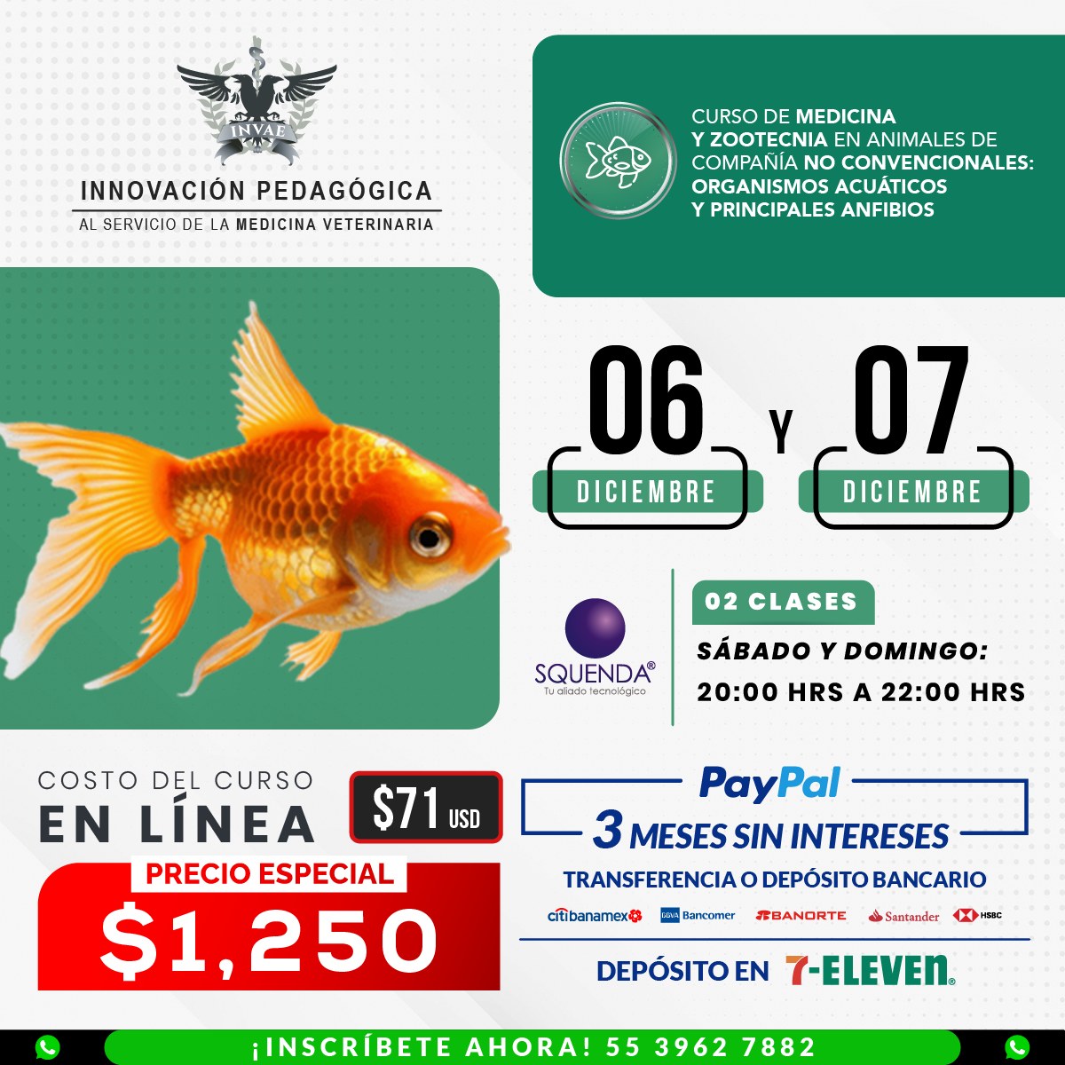 INVAE - ⭐️ AVALADO POR CONCERVET⭐️ Aprende a identificar y aplicar las ...