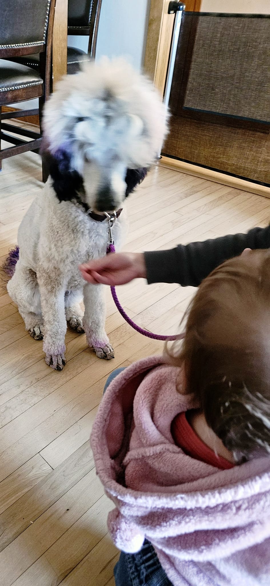 Ruff Pups | Reedsburg WI
