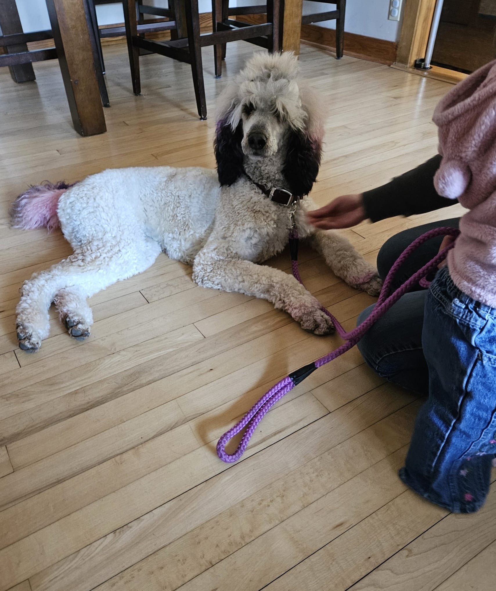 Ruff Pups | Reedsburg WI