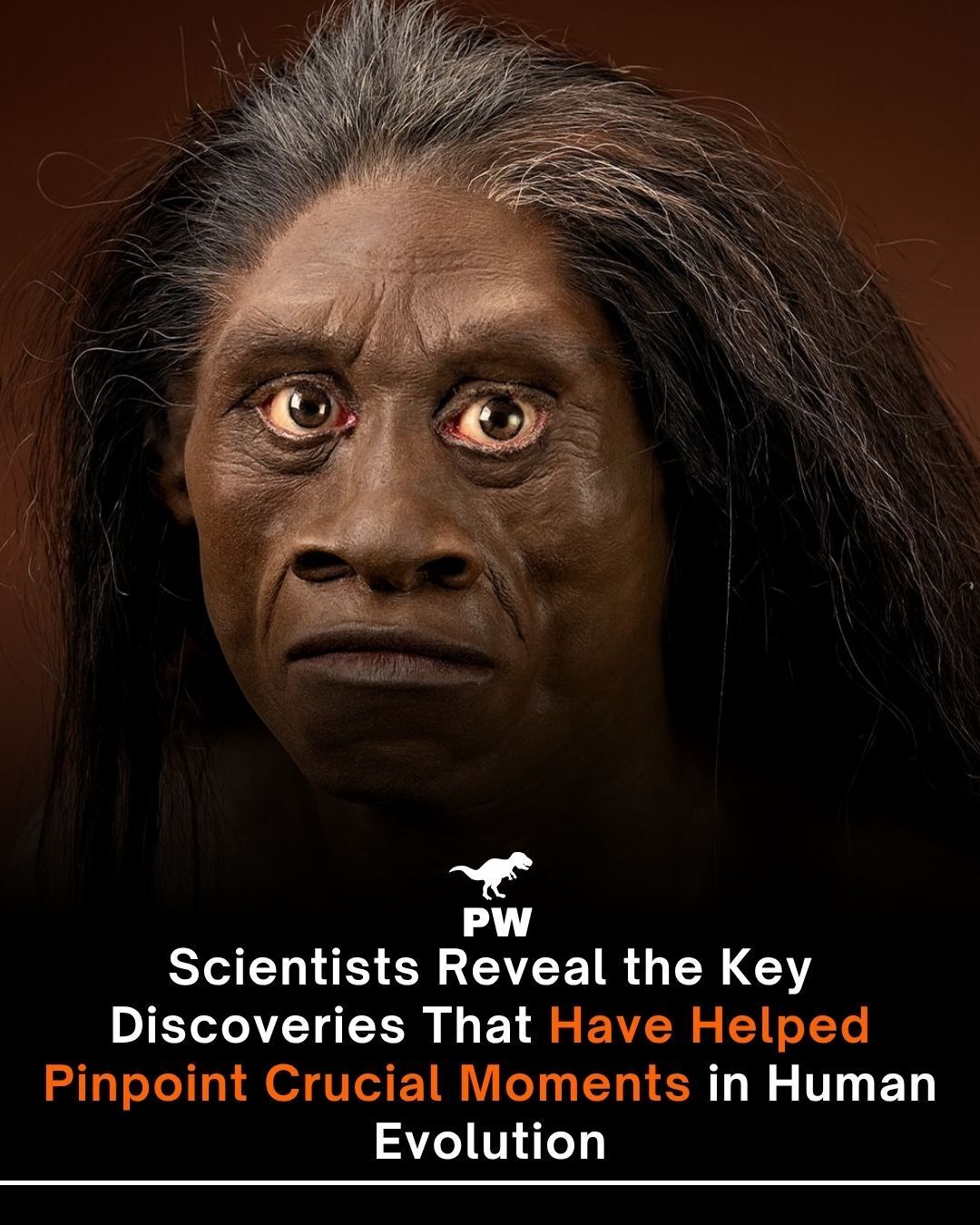 The Prehistoric - Unlocking the Secrets of Human Origins Ever wondered ...