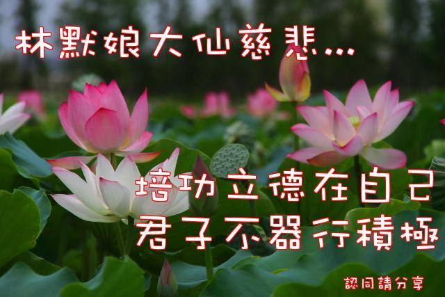 一貫道_仙佛慈訓分享 - #030 管理員認為 大仙這次教我們的道理是 提點我們 「師父領進門，修行在個人」 回理天的方向都跟我們講了 但要不 ...