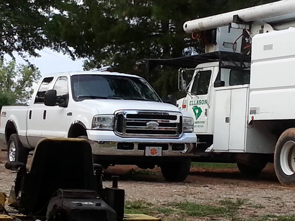 Ellason Tree Service | Simpsonville SC