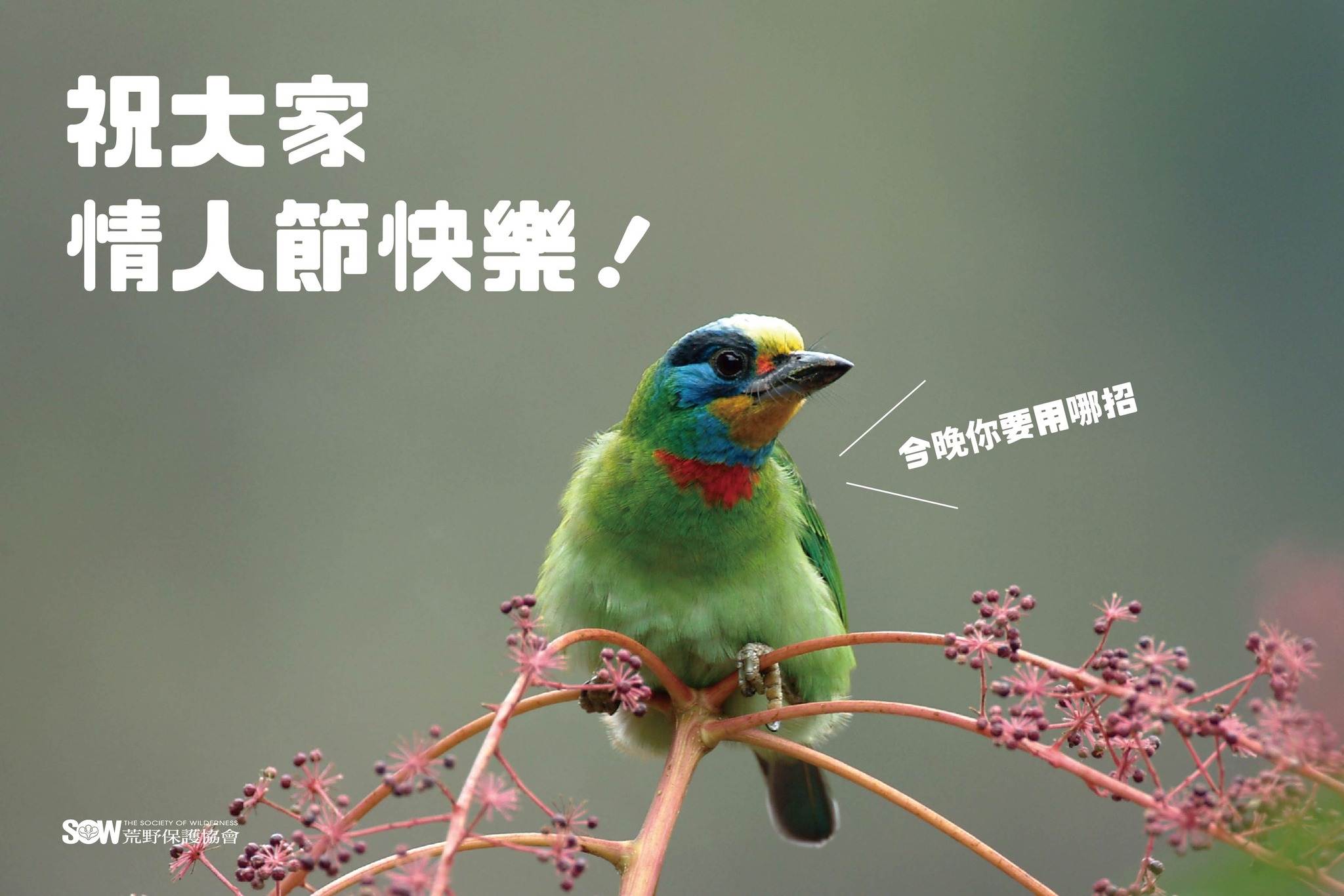 荒野保護協會 - ⊛ 情人節快樂 .ᐟ.ᐟ ↳ 今晚你要用哪招？ ... | Facebook
