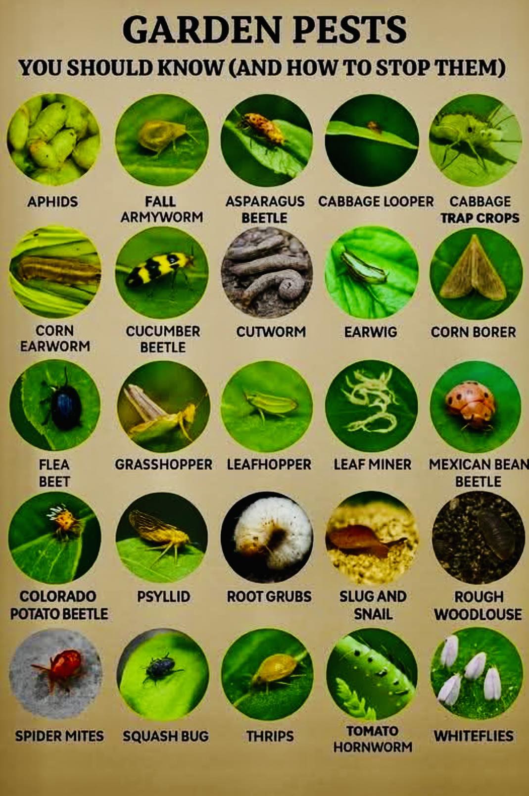 PARC Pakistan Agricultural Research Council