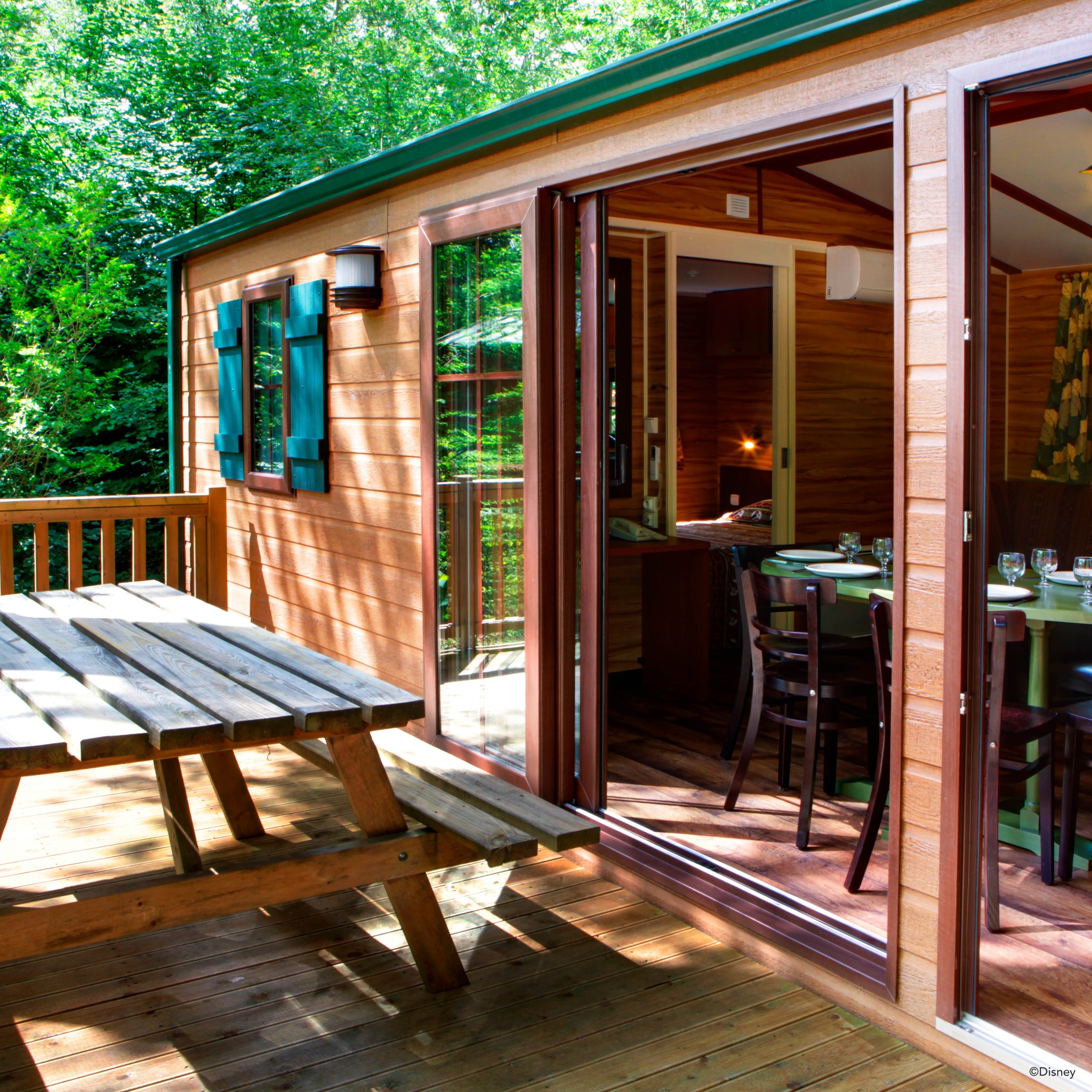 TUI Brighton - DEAL OF THE WEEK – JANUARY! Take the... | Facebook