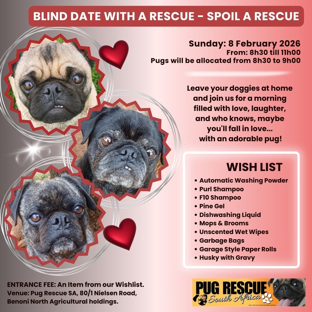 Blind Date with a Rescue - Spoil A Rescue