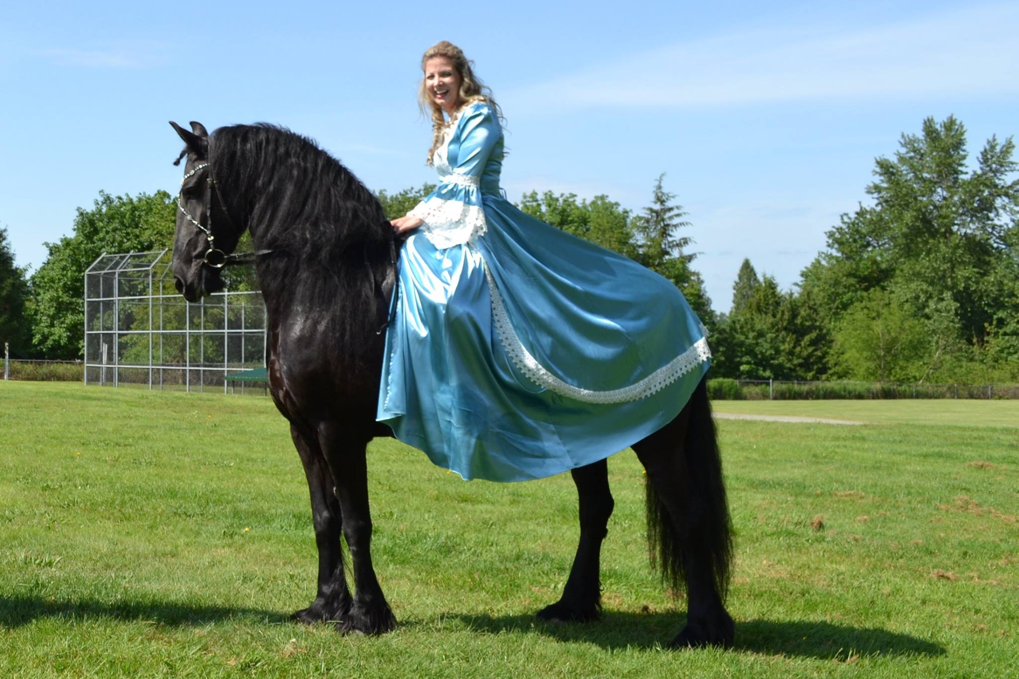 Our crown mare Saskia ut 't Westen... - All Star Friesians