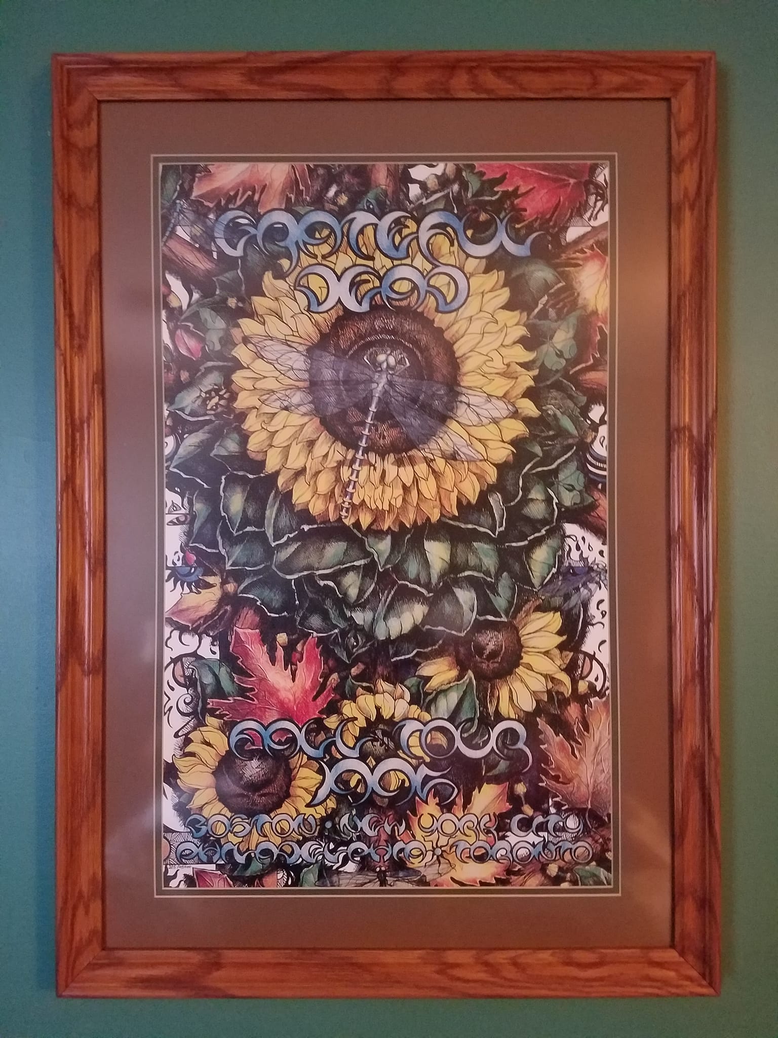 Framed Grateful Dead 1995 Fall Tour Poster