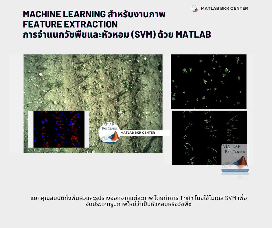 Matlab - machine learning สำหรับงานภาพ Feature Extraction การจำแนก ...